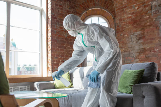 Why You Should Choose Our Mold Remediation Services in Gateway, AK